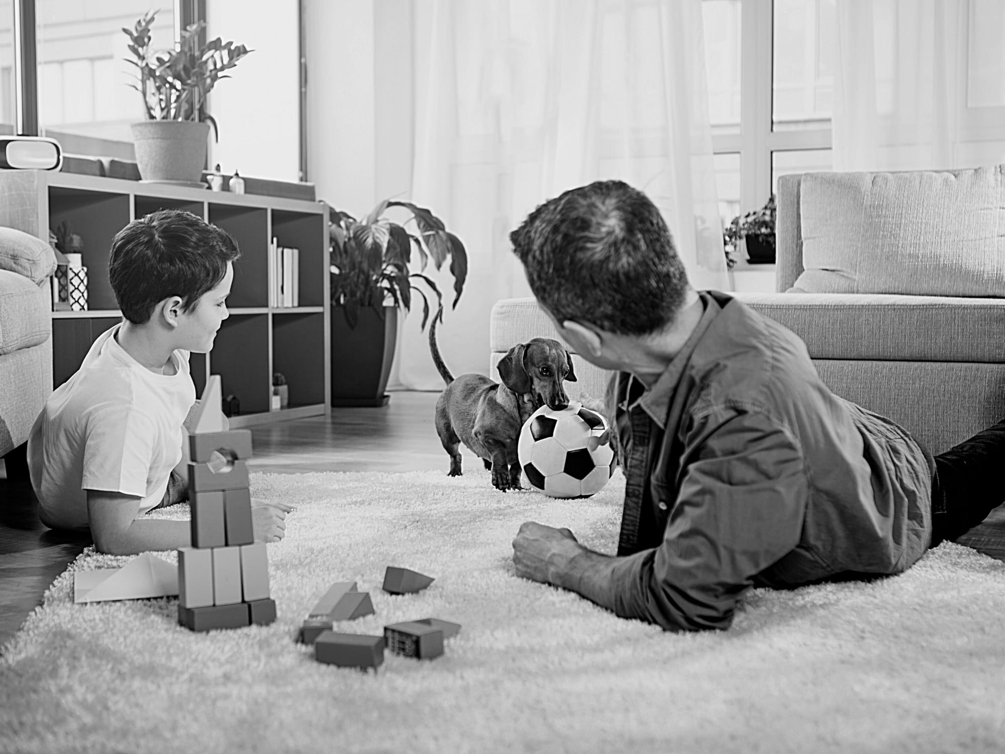 Should You Allow Pets in Your Rental Property? HERE Property